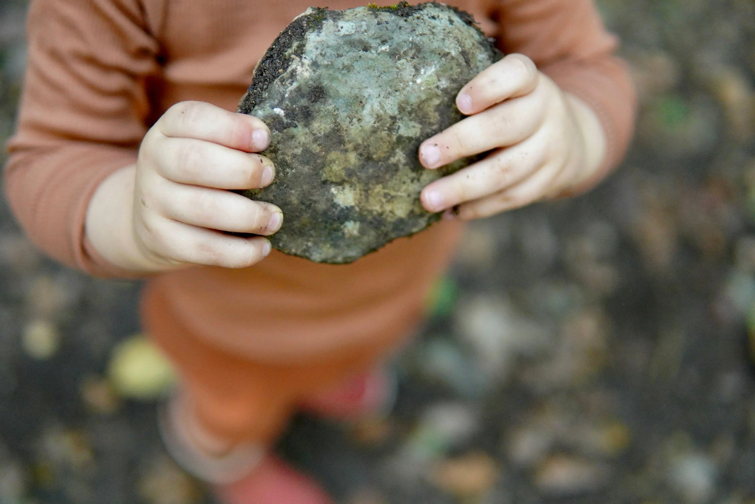 La naissance de Tem(p)s Libre (par nature) : Une histoire de transformations :)