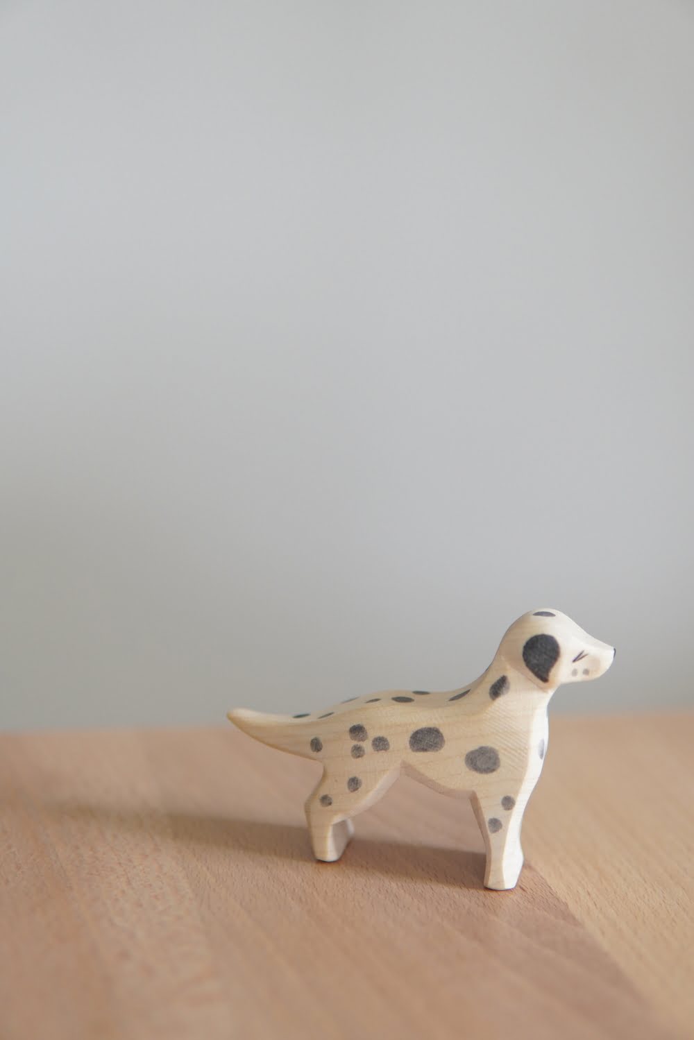 Dalmatian Ostheimer