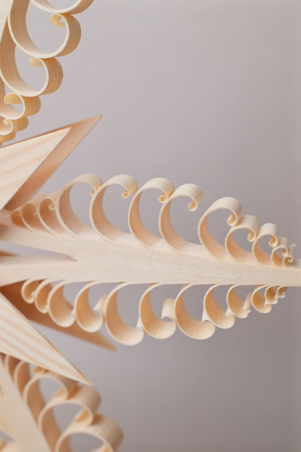 Pointe de Sapin 24 cm - Udo Rudolph Baum