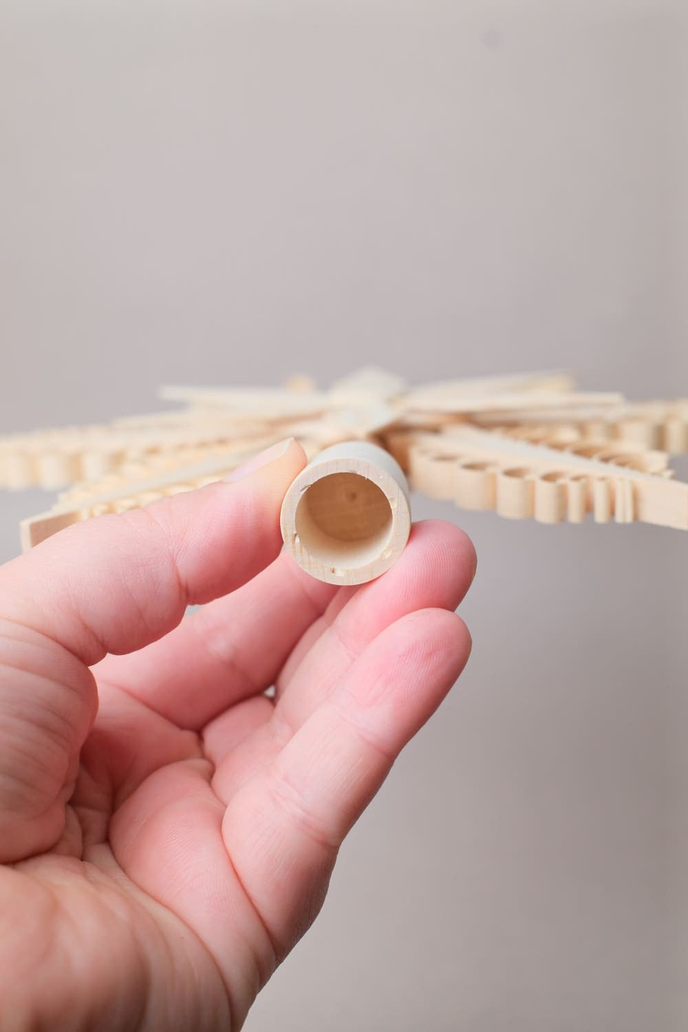 Pointe de Sapin 24 cm - Udo Rudolph Baum