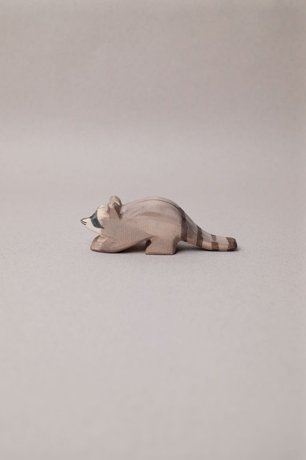 Petit Raton Laveur - Ostheimer