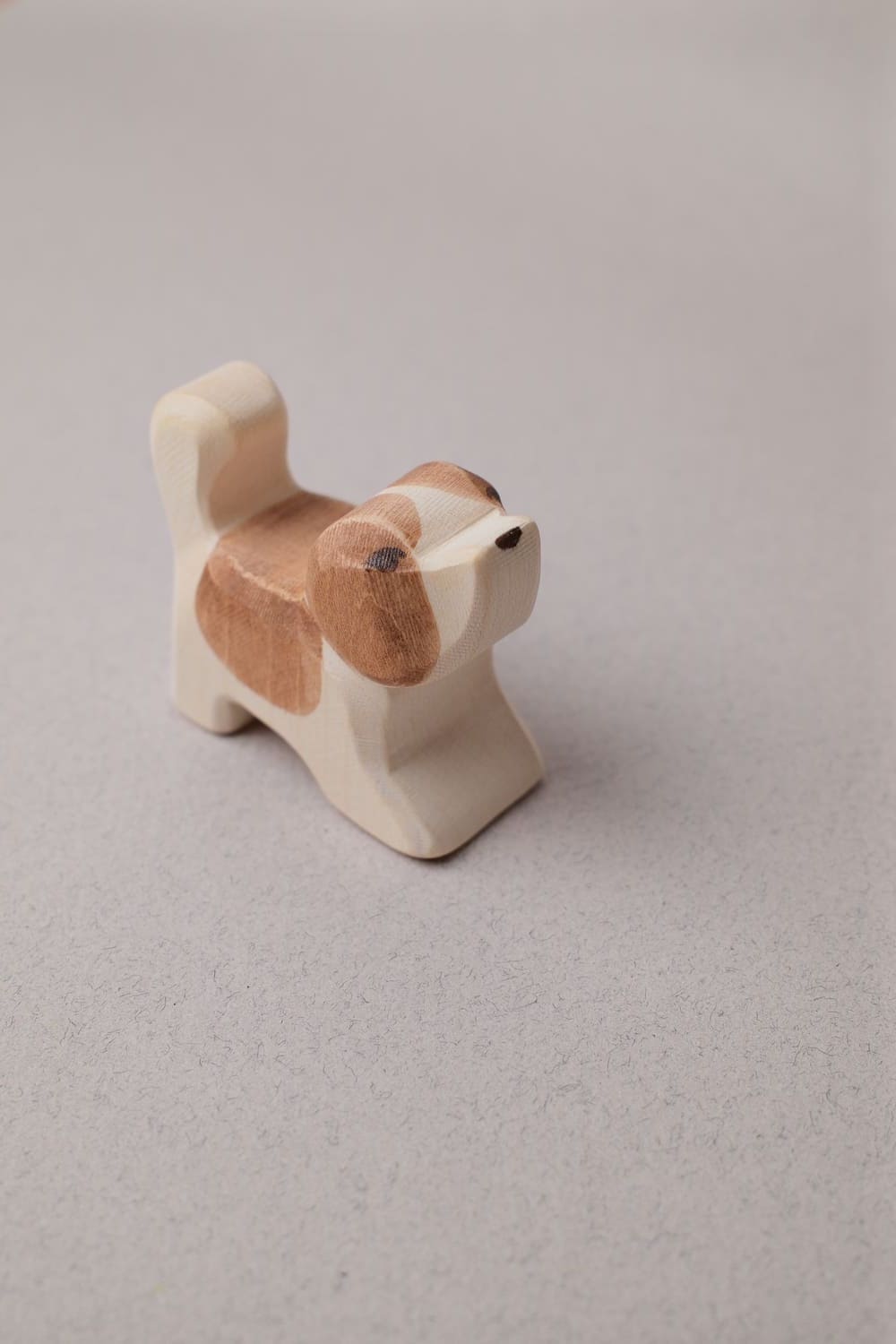 Chiot Saint-Bernard Tête Haute - Ostheimer