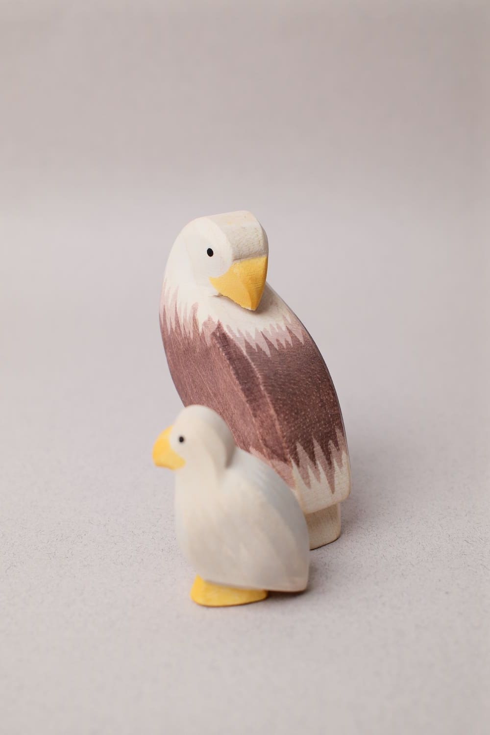 Famille Aigle - Ostheimer