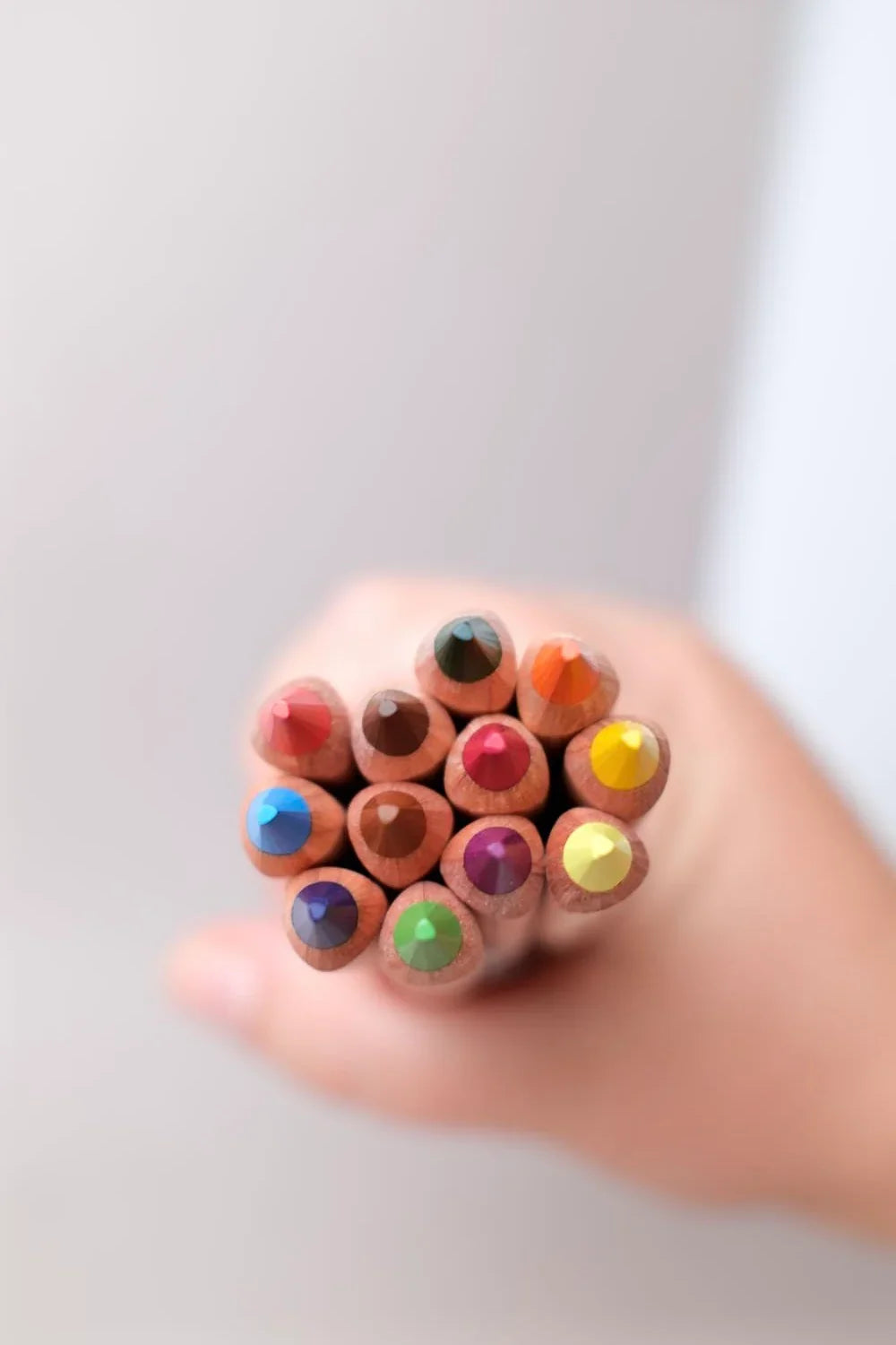 Crayons de Couleurs Sélection Waldorf - Lyra