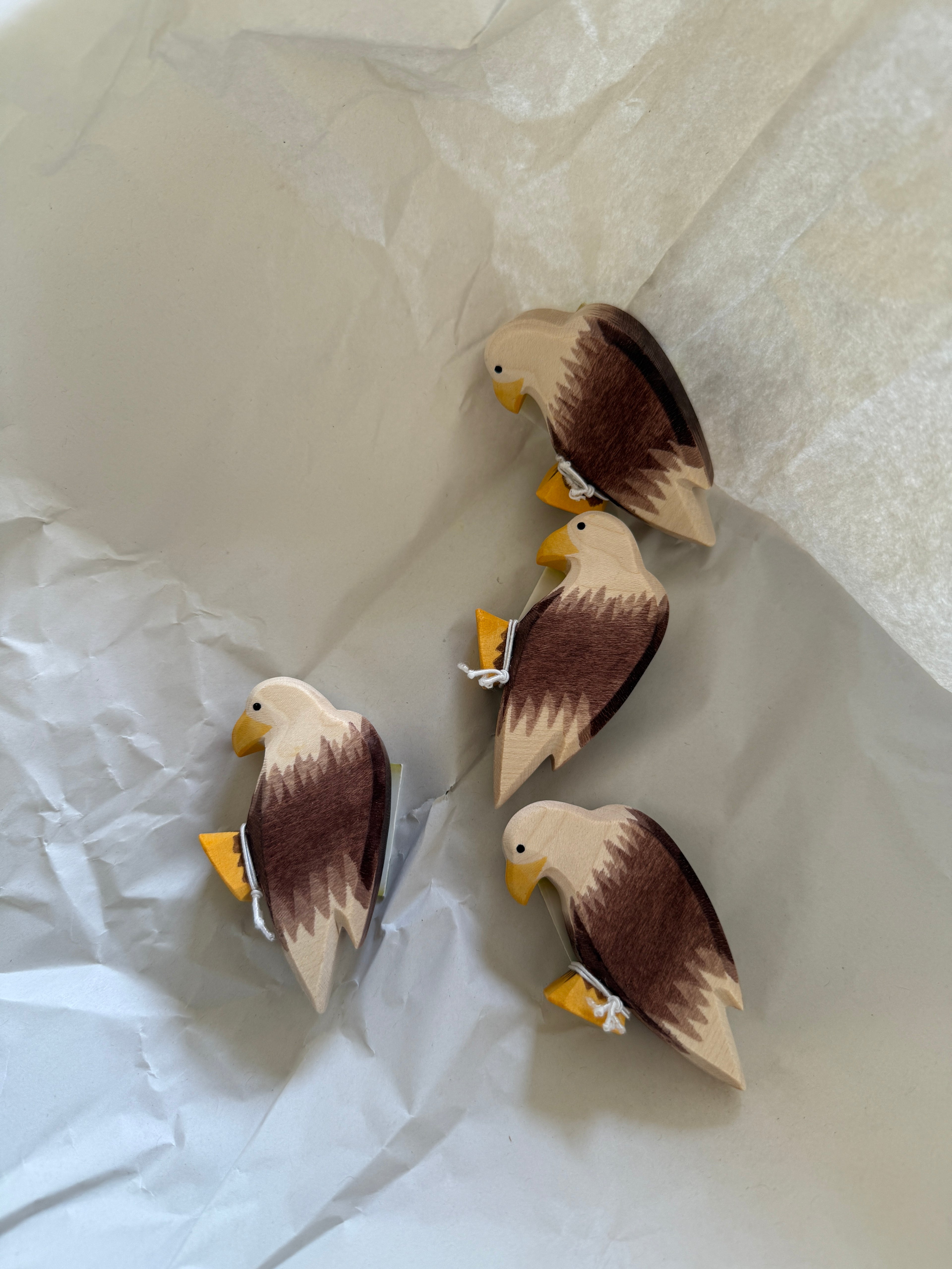 Famille Aigle - Ostheimer