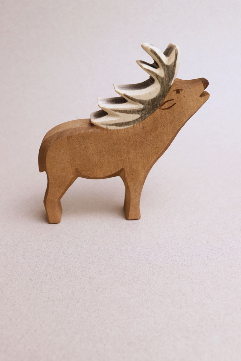 Cerf - Ostheimer
