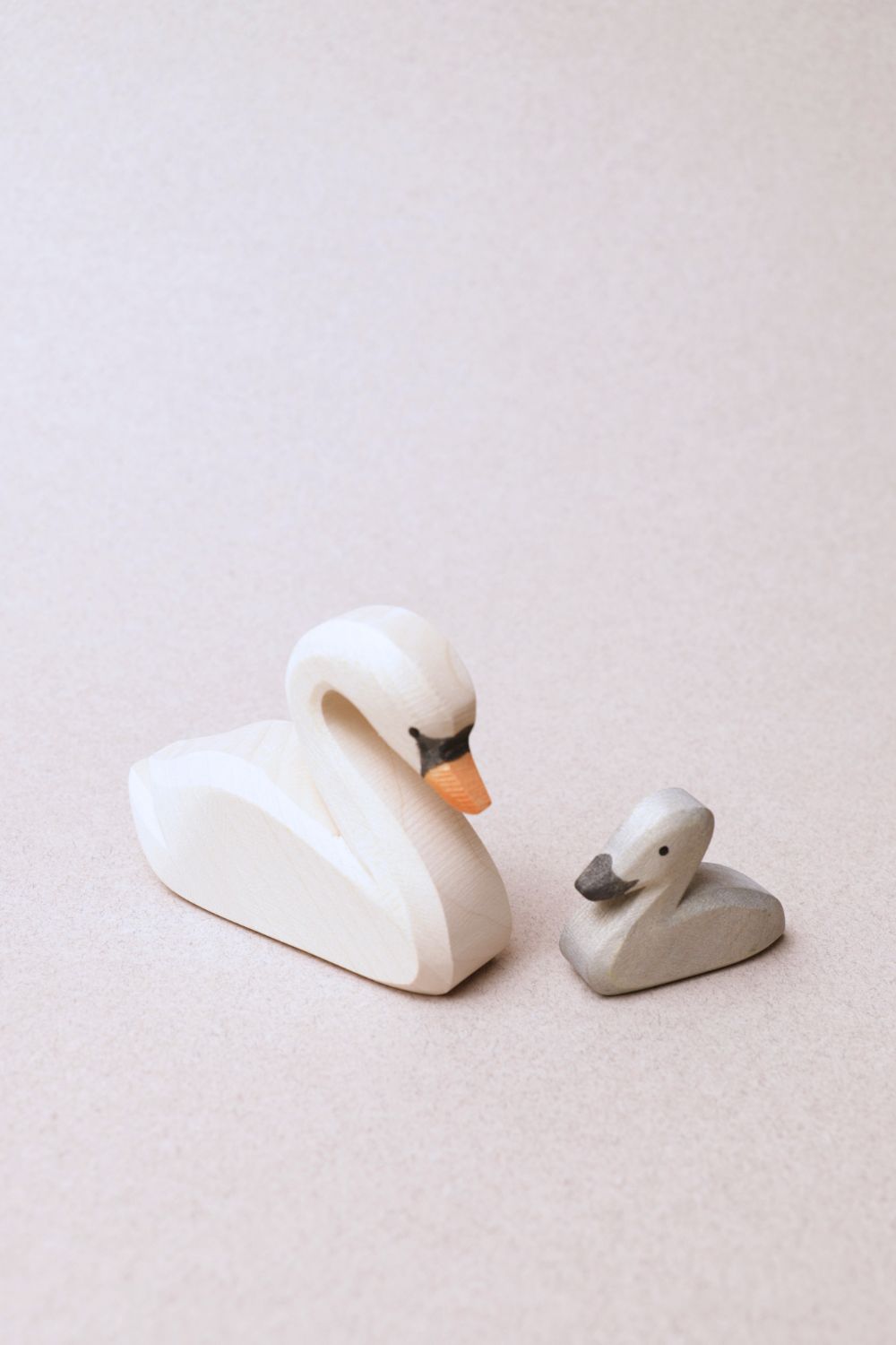Cygne - Ostheimer