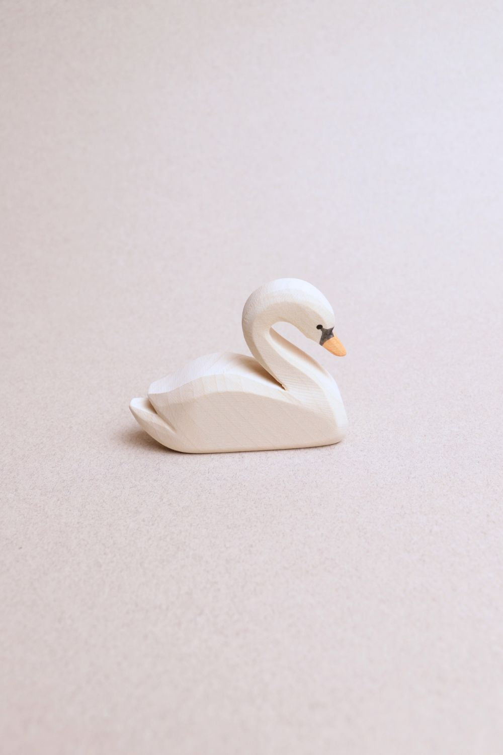 Cygne - Ostheimer