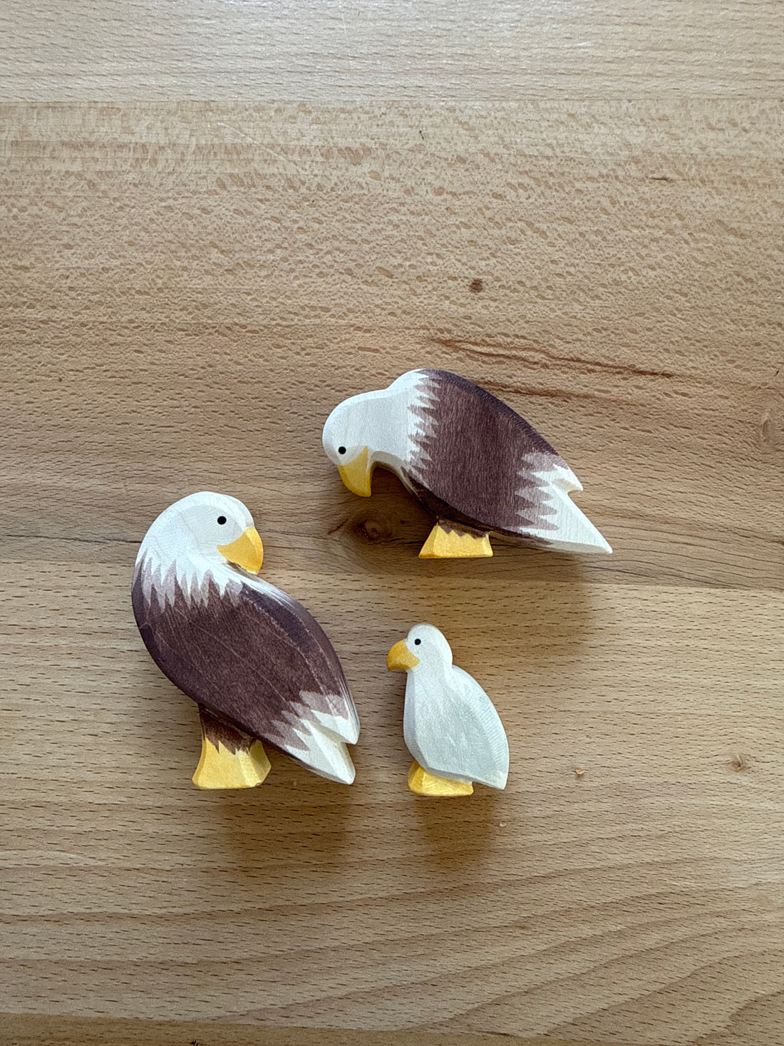 Famille Aigle - Ostheimer