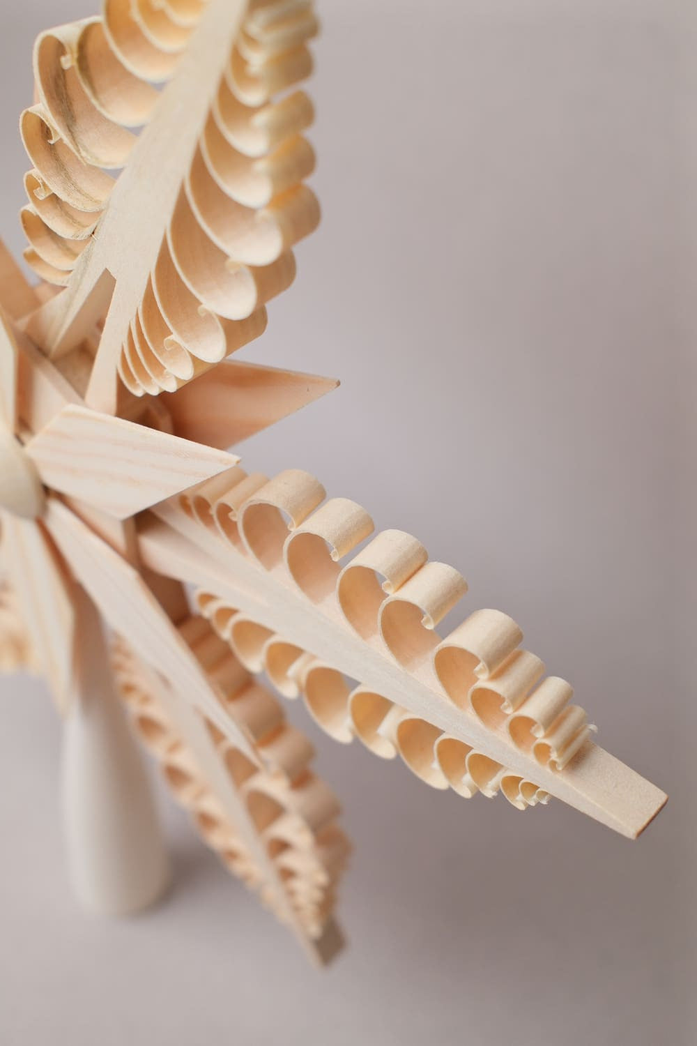 Pointe de Sapin 24 cm - Udo Rudolph Baum