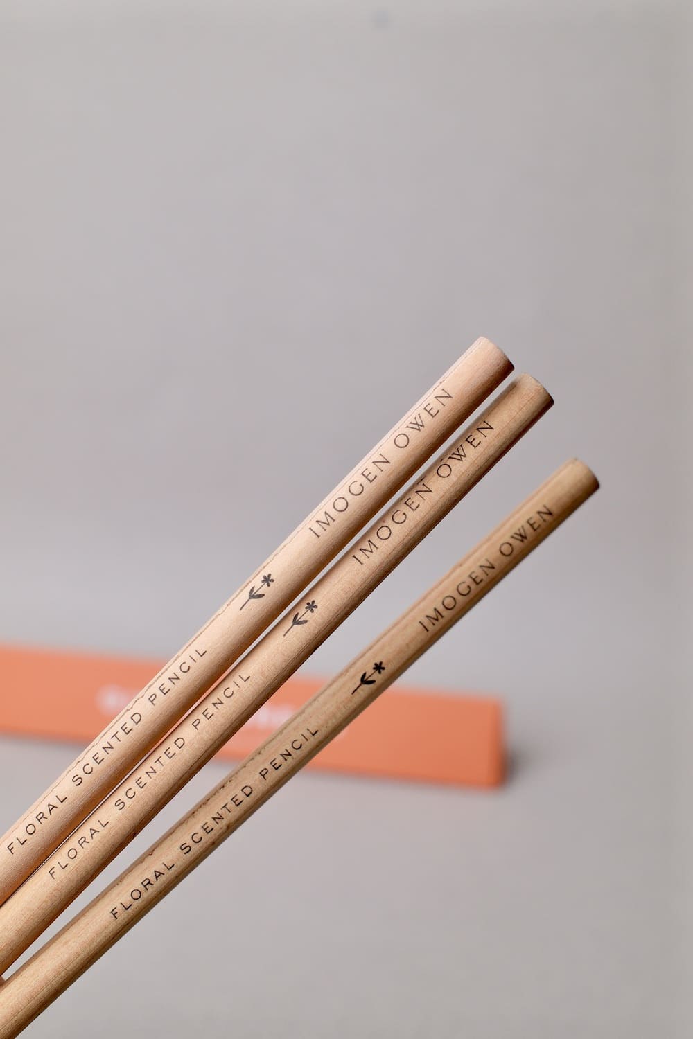 Crayons parfumés « Gingerbread » – Édition Limitée – Imogen Owen