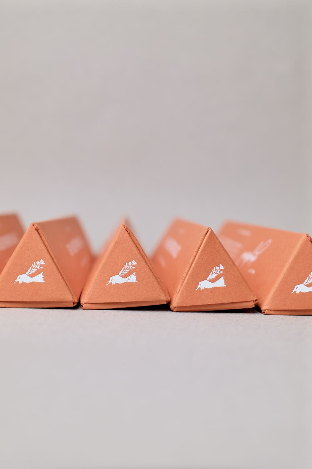 Crayons parfumés « Gingerbread » – Édition Limitée – Imogen Owen