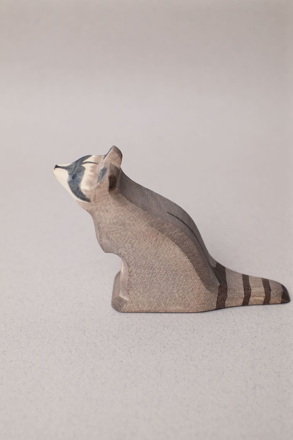 Raton Laveur Assis - Ostheimer