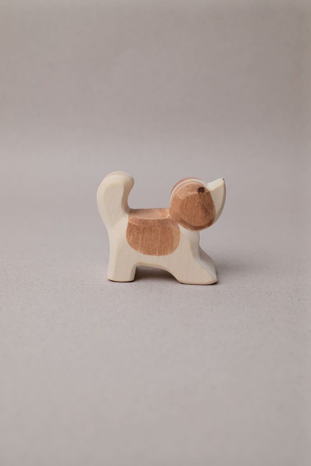 Chiot Saint-Bernard Tête Haute - Ostheimer