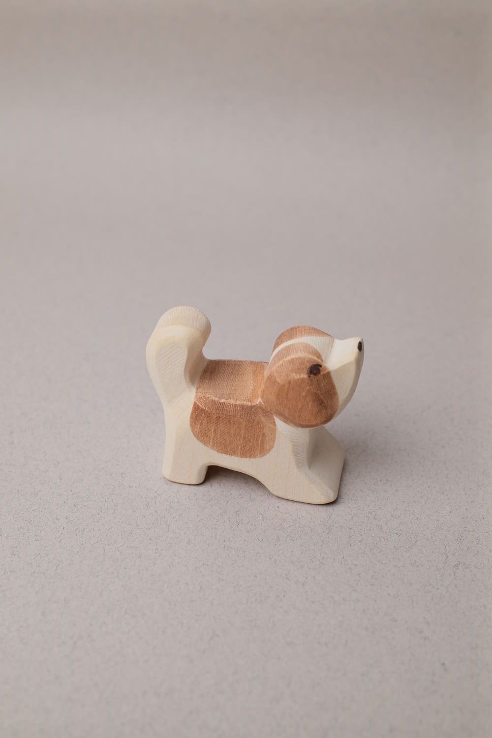 Chiot Saint-Bernard Tête Haute - Ostheimer