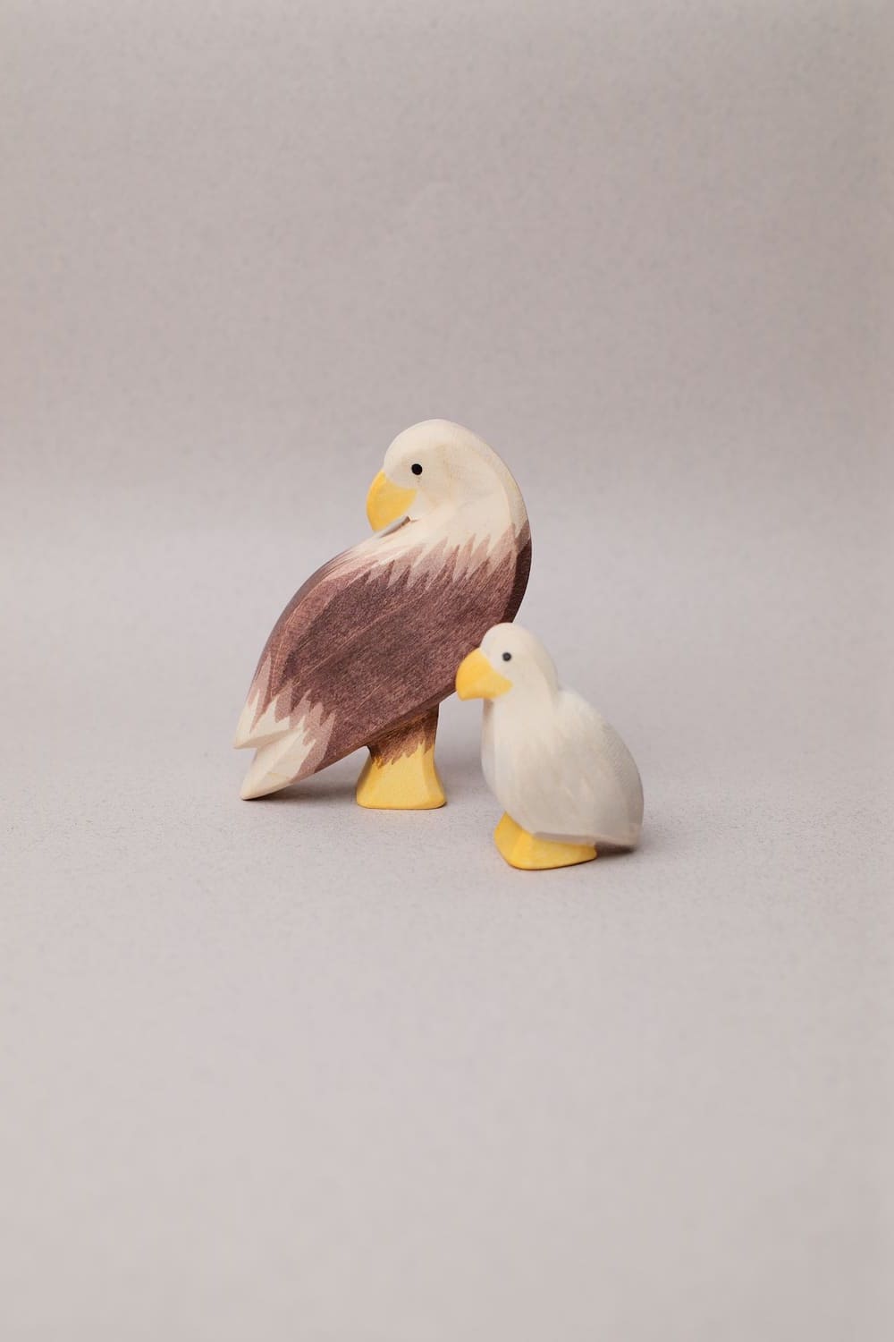 Famille Aigle - Ostheimer