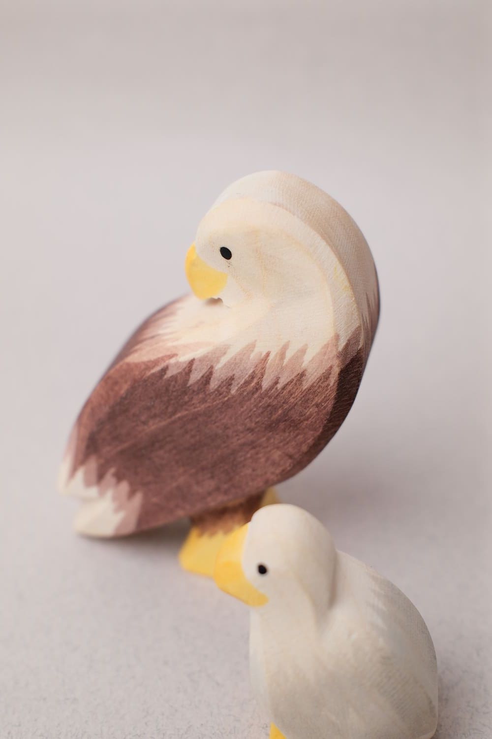 Famille Aigle - Ostheimer