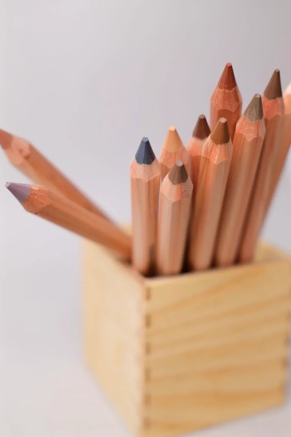 Crayons de couleurs COLOR GIANTS SKIN TONES - Lyra