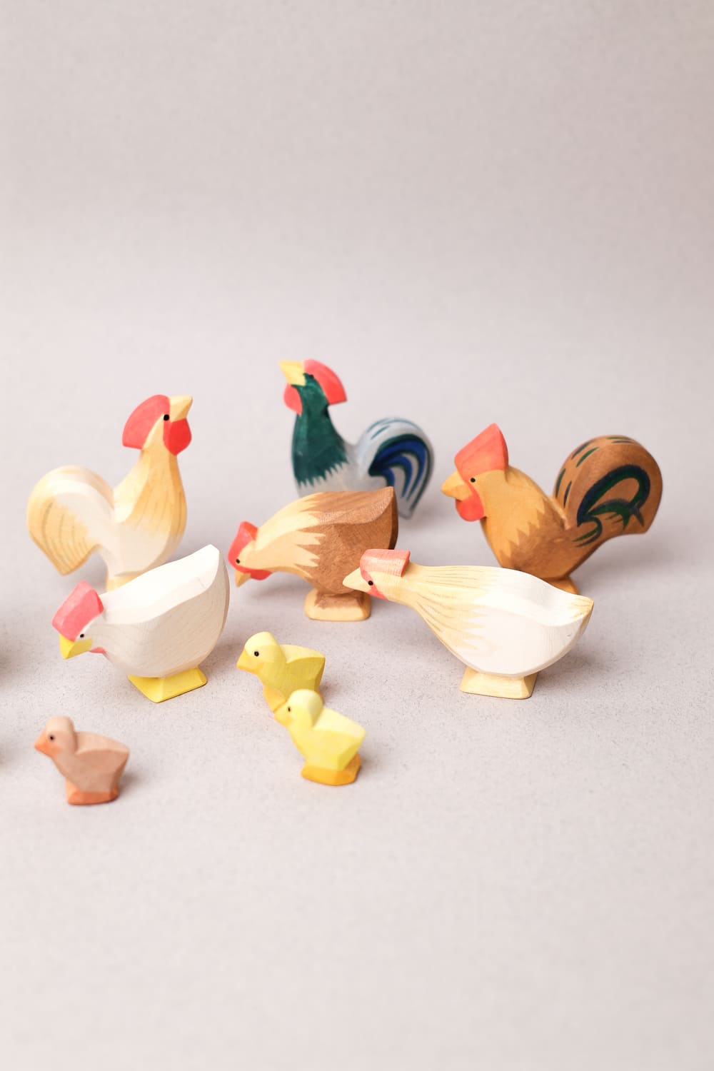 Coq Ocre - Ostheimer