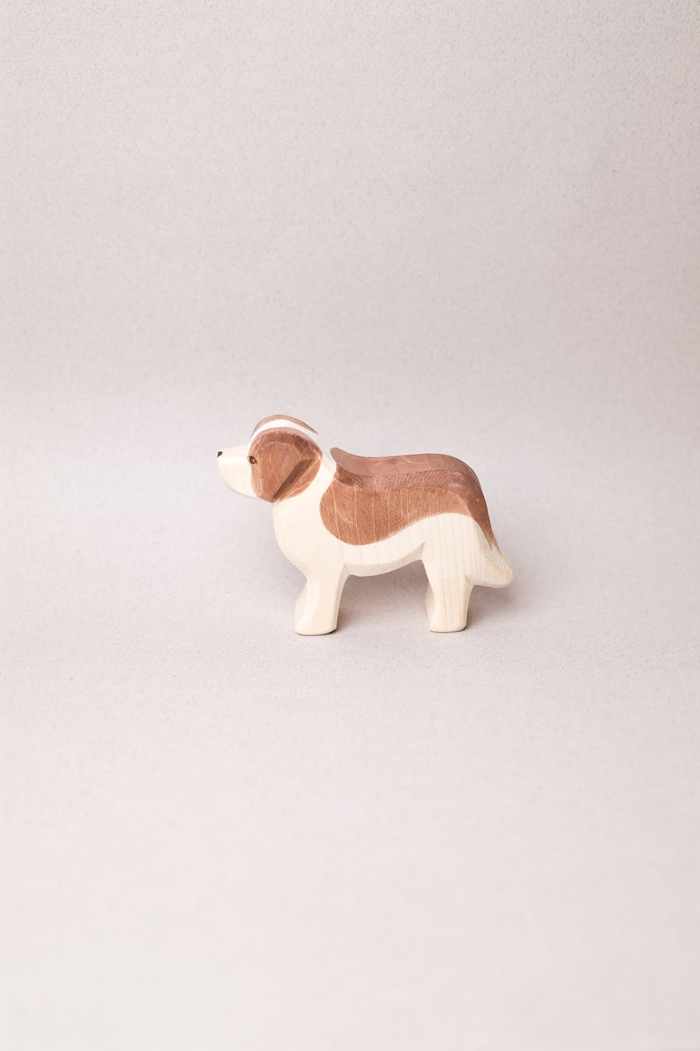 Saint-Bernard - Ostheimer