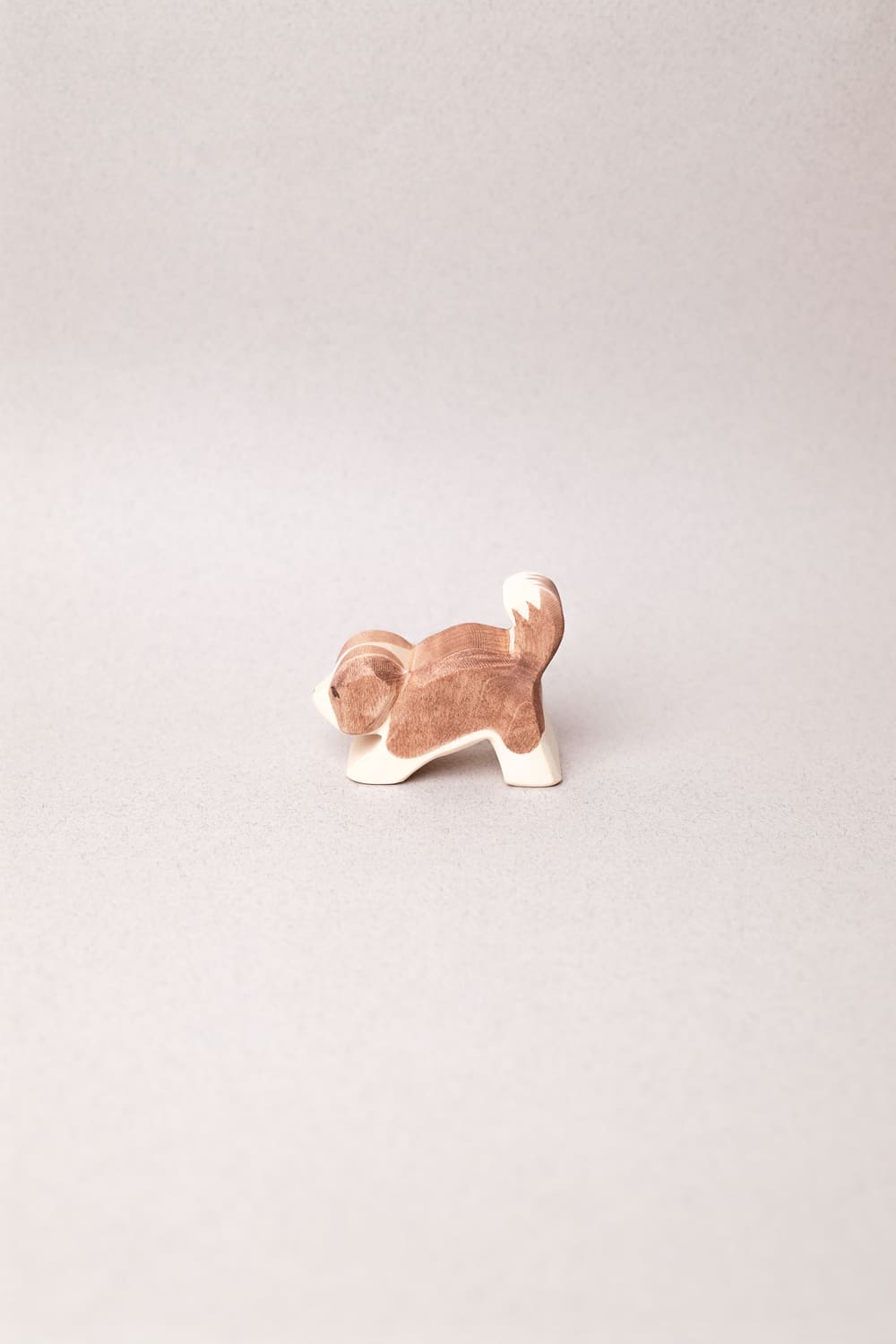Chiot Saint-Bernard - Ostheimer