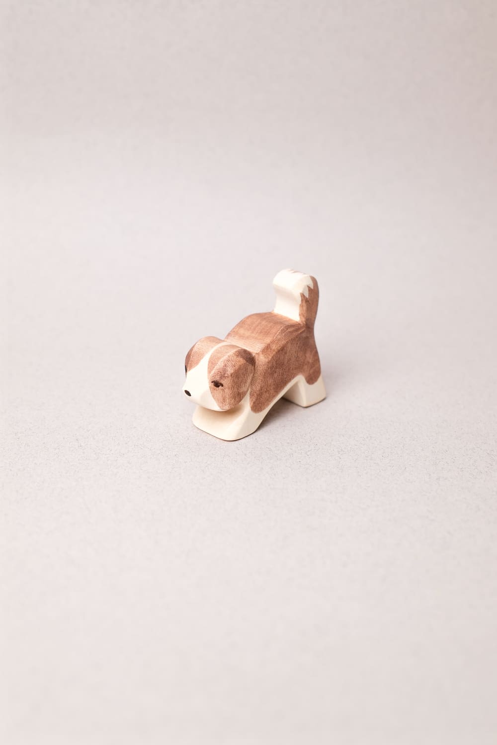 Chiot Saint-Bernard - Ostheimer
