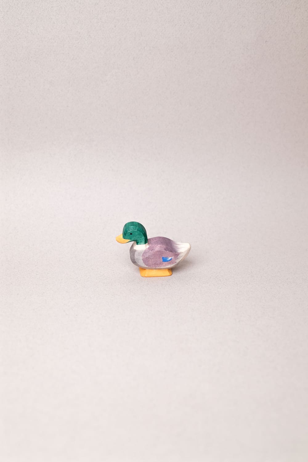Canard Colvert - Ostheimer
