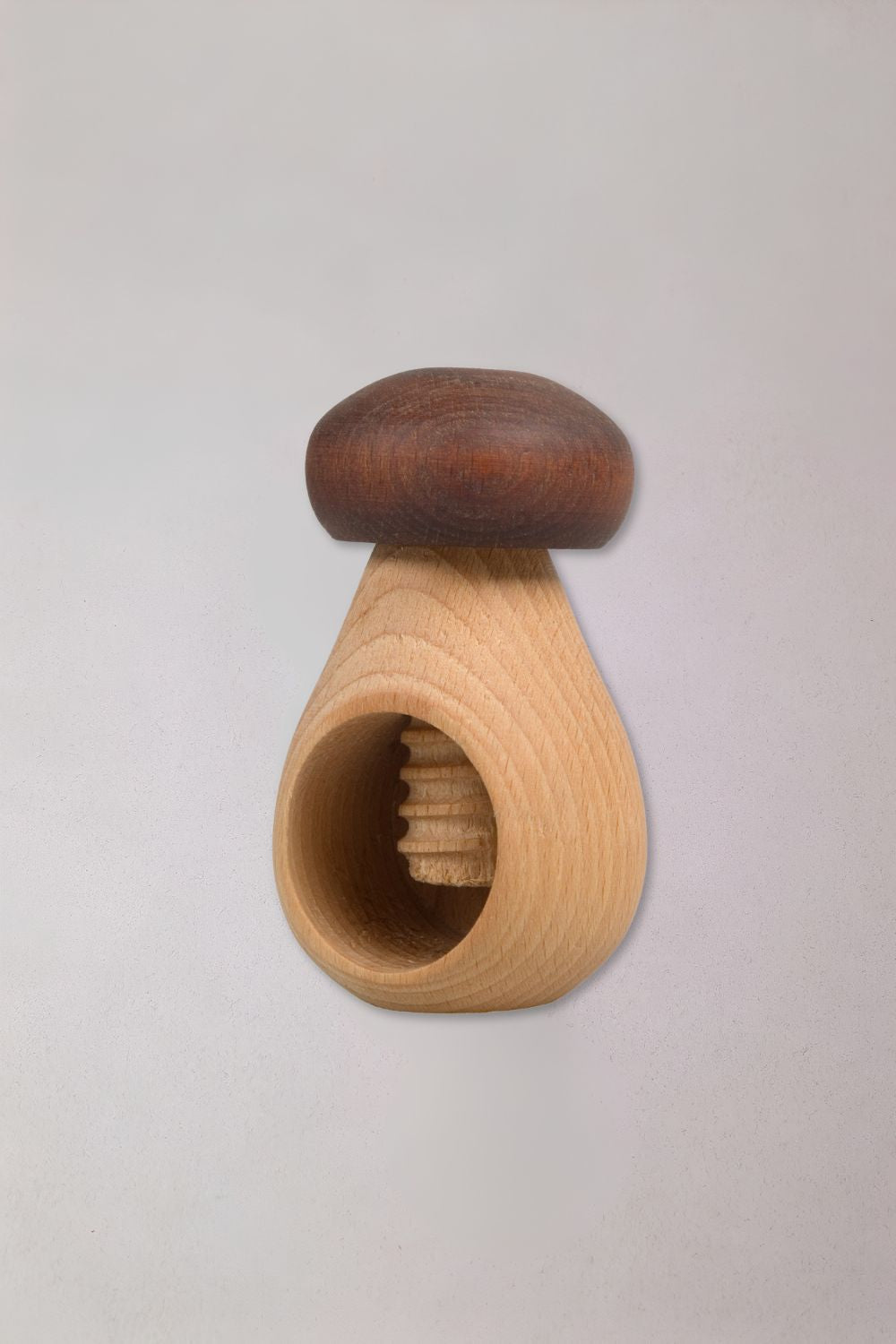 Champignon casse-noix - Corvus/Kids at Work