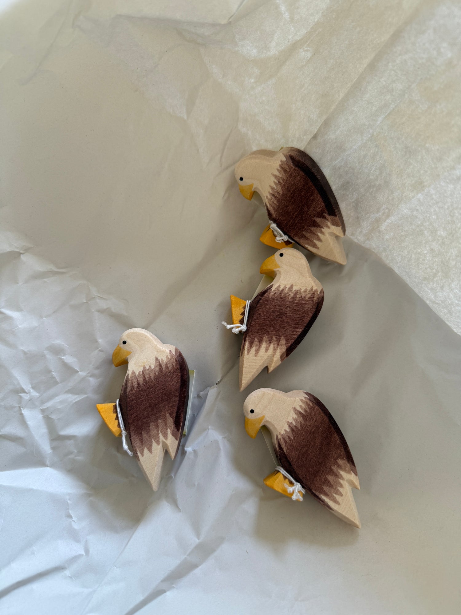 Famille Aigle - Ostheimer