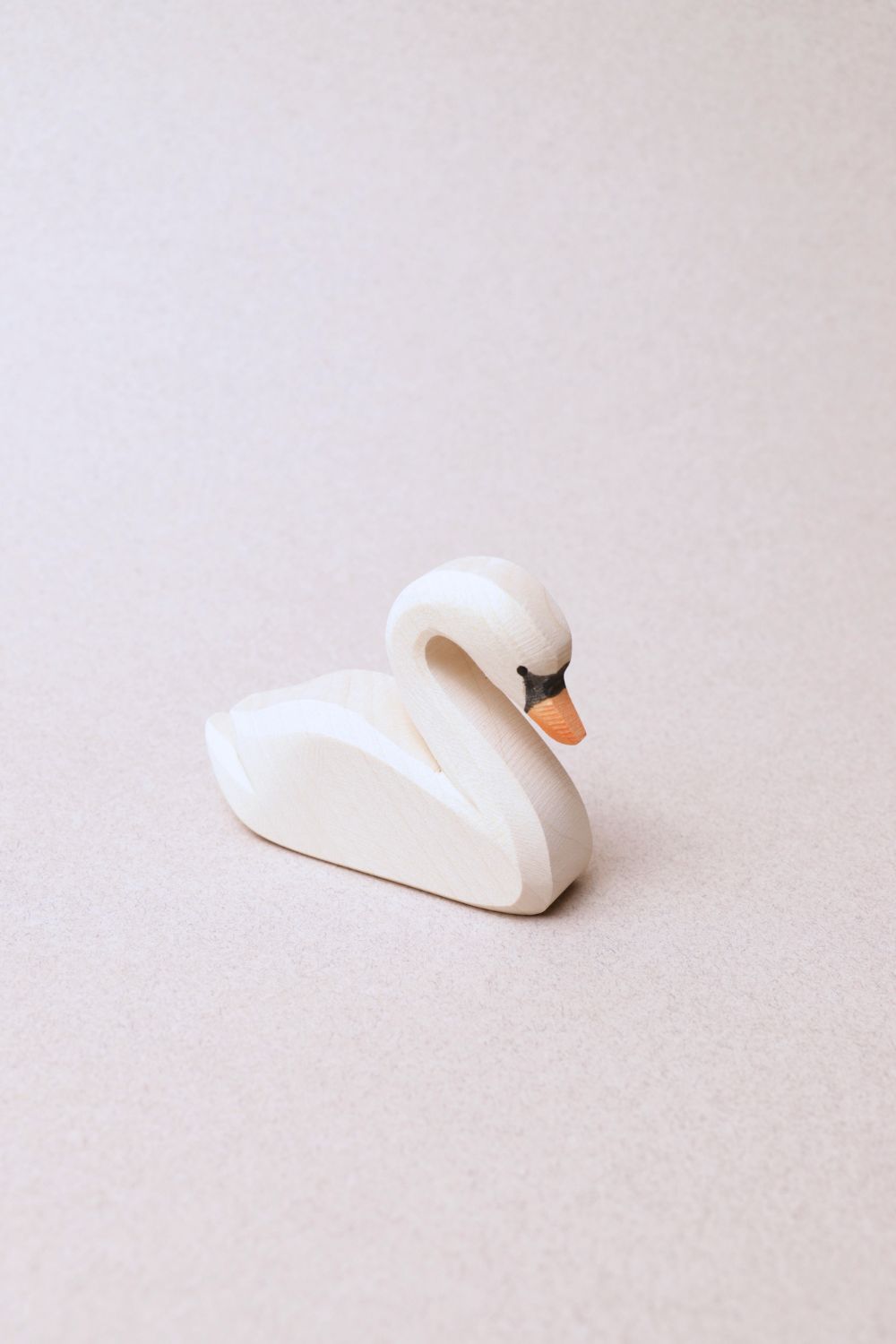 Cygne - Ostheimer